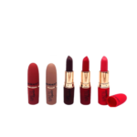 رژ لب جامد 24 ساعته VIVID MATTE LIpstick