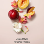 اسپری بدن پیور سداکشن ویکتوریا سکرت | BODY CARE Pure Seduction Fragrance Mist - تصویر 2